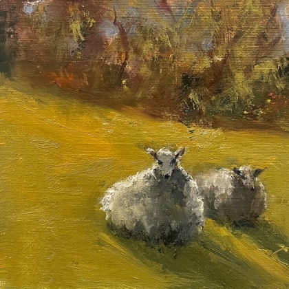 Picture of SHEEP IN FIELD V