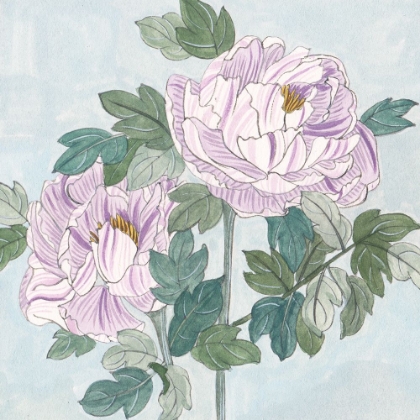 Picture of STRIPED PEONIES I