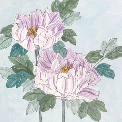 Picture of STRIPED PEONIES II