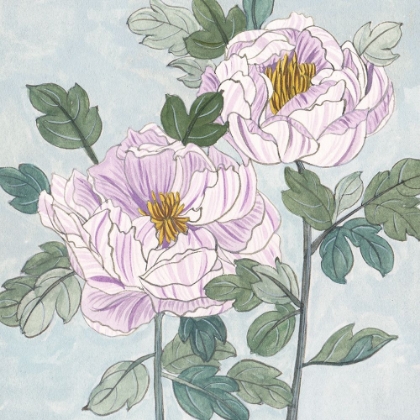 Picture of STRIPED PEONIES III
