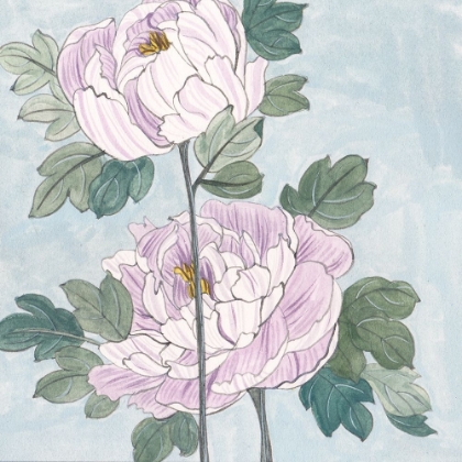 Picture of STRIPED PEONIES IV