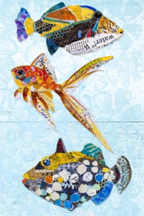 Picture of TROPICAL FISH COLLAGE I