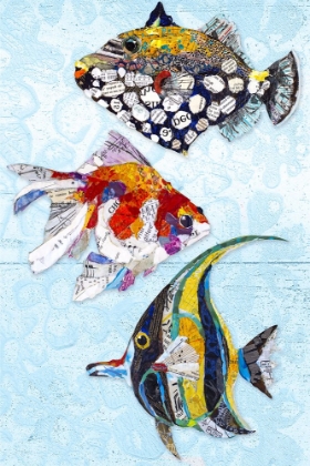 Picture of TROPICAL FISH COLLAGE II