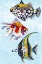Picture of TROPICAL FISH COLLAGE II