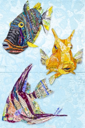 Picture of TROPICAL FISH COLLAGE IV