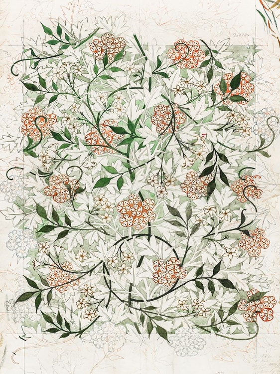 Picture of WM MORRIS FLORAL PATTERN STUDIES II