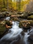 Picture of AUTUMN CALM