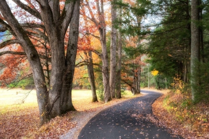 Picture of AUTUMN DRIVE I