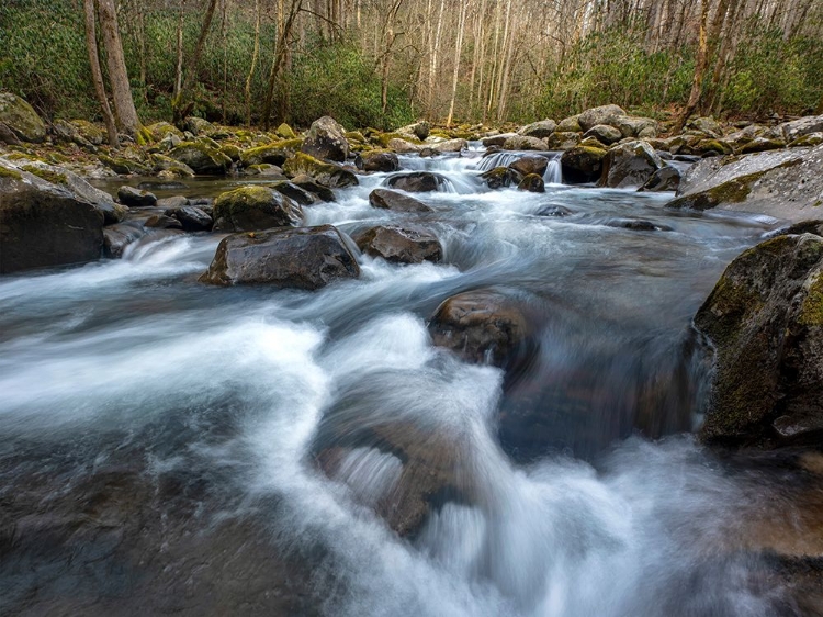 Picture of BIG CREEK