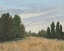 Picture of COUNTRYSIDE CLEARING II
