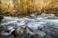 Picture of DOWNSTREAM I
