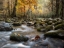 Picture of DREAMY AUTUMN