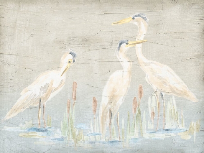 Picture of DRIFTWOOD WATERBIRDS II