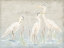 Picture of DRIFTWOOD WATERBIRDS II