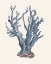 Picture of INDIGO REEF I
