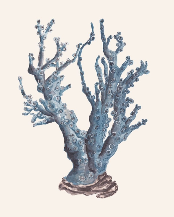 Picture of INDIGO REEF I