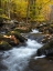 Picture of PEACEFUL FLOW