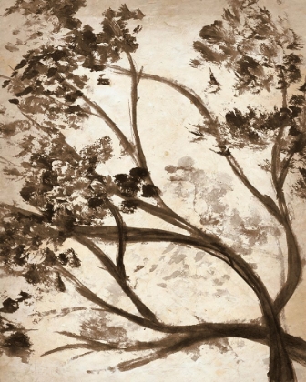 Picture of SIMPLE BRANCHES I