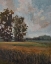 Picture of THE OPENED FIELD
