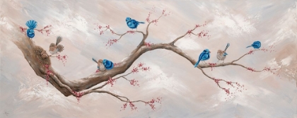 Picture of FAIRY WREN VENTURES