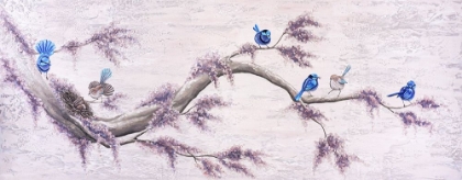 Picture of FAIRY WREN VENTURES II