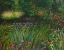 Picture of GARDEN POND