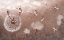 Picture of HIDDEN TREASURES