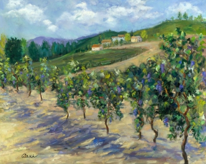 Picture of HILLSIDE ORCHARD
