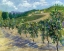 Picture of HILLSIDE ORCHARD