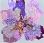Picture of NO SHRINKING VIOLET