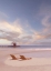 Picture of BESIDE THE SEA 2