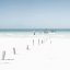Picture of BIRDS ON POSTS