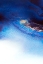 Picture of BLUE AND GOLD 3