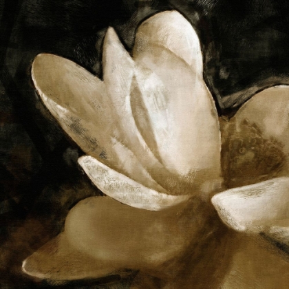 Picture of BRONZE LILY 5
