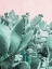Picture of CACTUS FOREST ON PINK