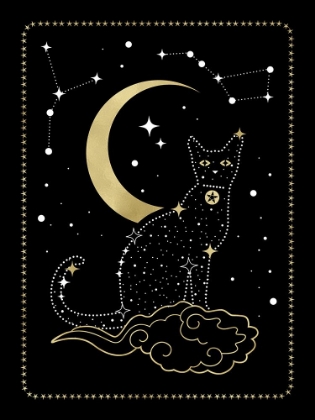 Picture of CAT CONSTELLATION