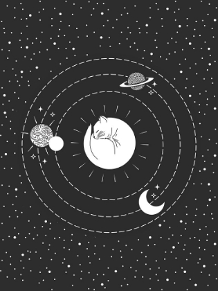 Picture of CAT SPACE