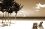 Picture of FIVE PALMS HI RES