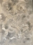 Picture of GRAY