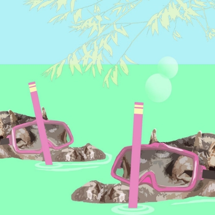 Picture of HIPPO SNORKELS