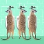 Picture of MEERKAT LOO