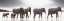 Picture of MIRAGE