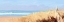 Picture of OFFSHORE BREEZE