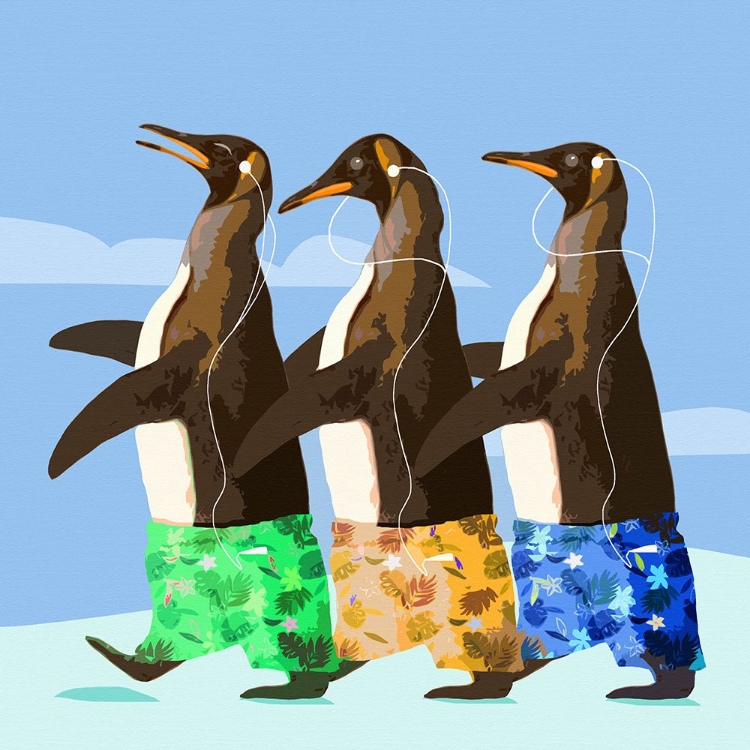 Picture of PENGUIN DANCERS