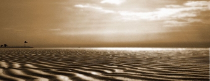 Picture of SAND RIPPLES