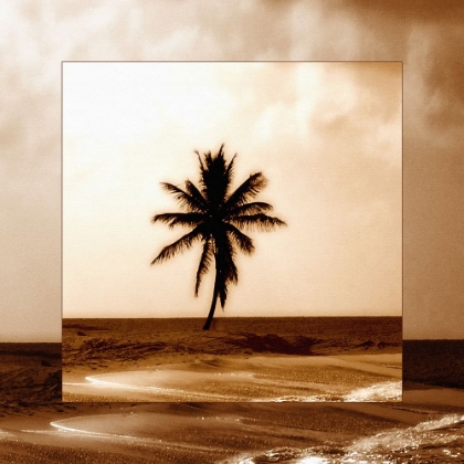 Picture of SEPIA PALM (1)