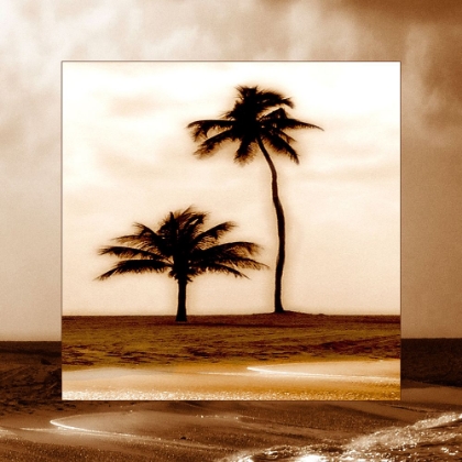 Picture of SEPIA PALMS (2)