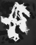 Picture of SIMPLICITY BLACK 1