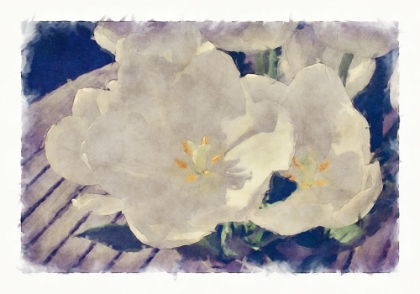 Picture of SUMMER FLOWERS