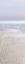 Picture of SUMMER HAZE L